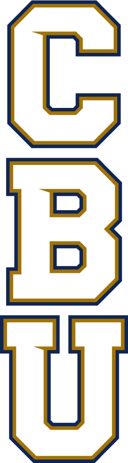 California Baptist Lancers 2017-Pres Wordmark Logo v2 iron on transfers for T-shirts